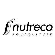 logo31