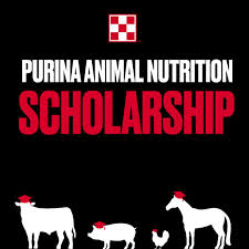 logo40